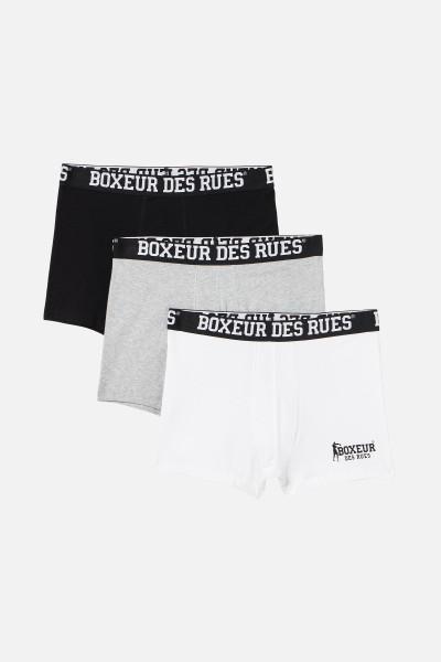 3 Boxer Basic Con Logo