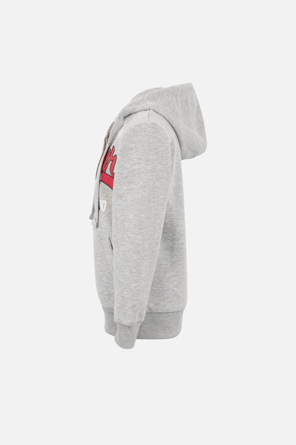 Felpa Logo Con Cappuccio Grigio Mélange Grey Mel