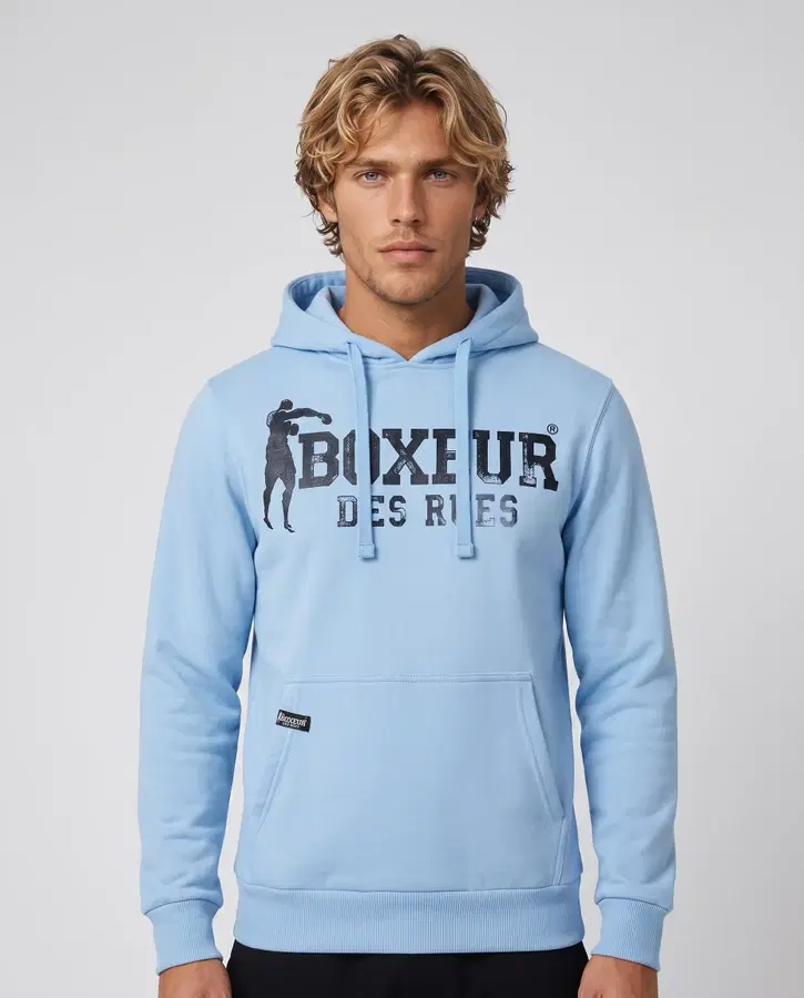 Logo Arctic Halo Hoodie Artic Halo