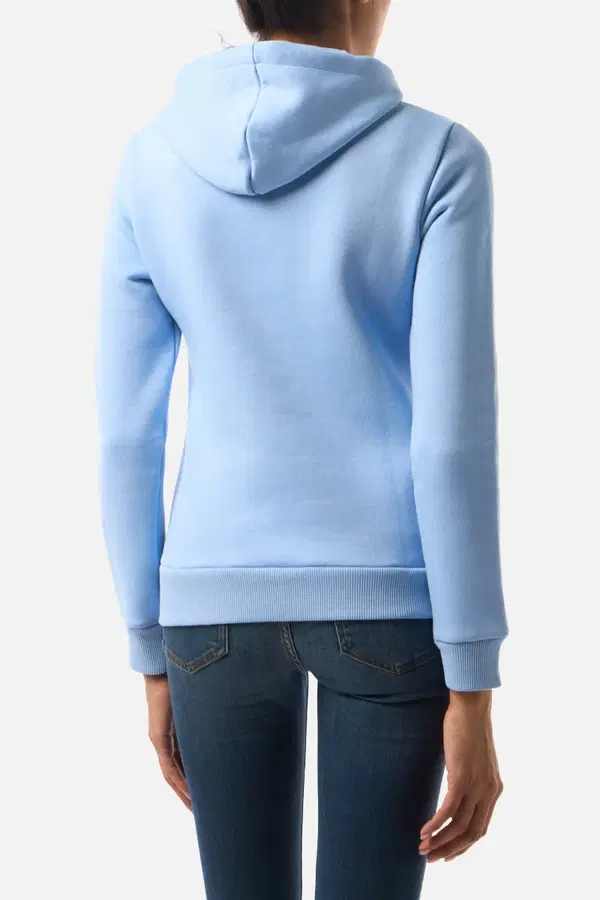 Arctic Halo Hoodie Sweatshirt Artic Halo