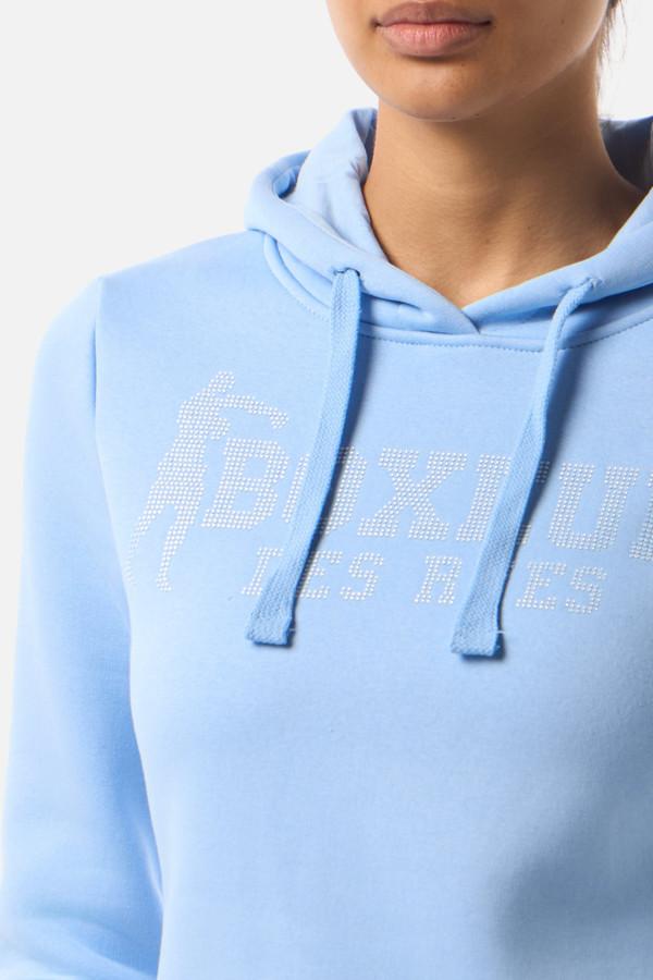 Arctic Halo Hoodie Sweatshirt Artic Halo
