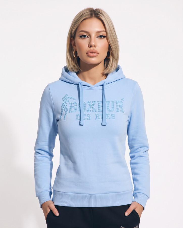 Arctic Halo Hoodie Sweatshirt Artic Halo