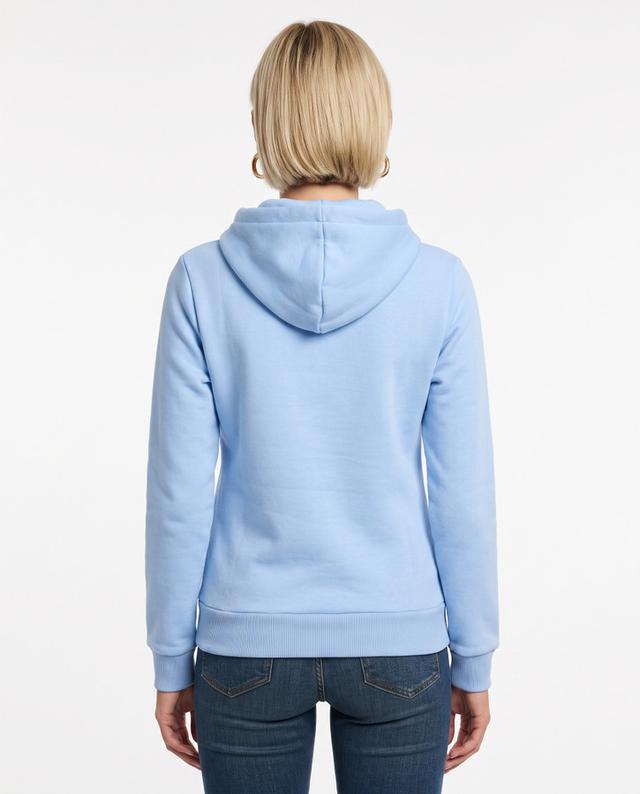Arctic Halo Hoodie Sweatshirt Artic Halo